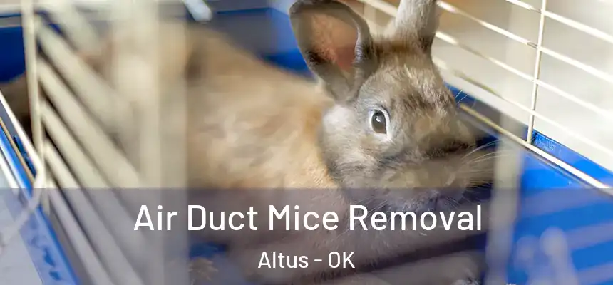  Air Duct Mice Removal Altus - OK
