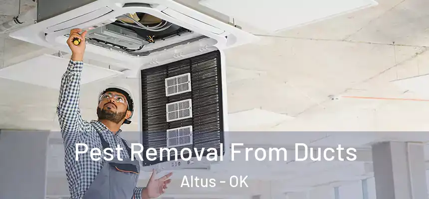 Pest Removal From Ducts Altus - OK